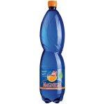 Magnesia Pomeranč a šípek 1,5l - PET