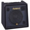 Roland KC 350