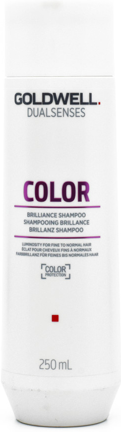 Goldwell Dualsenses Color Brilliance Shampoo šampon pro normální až jemné barvené vlasy 250 ml