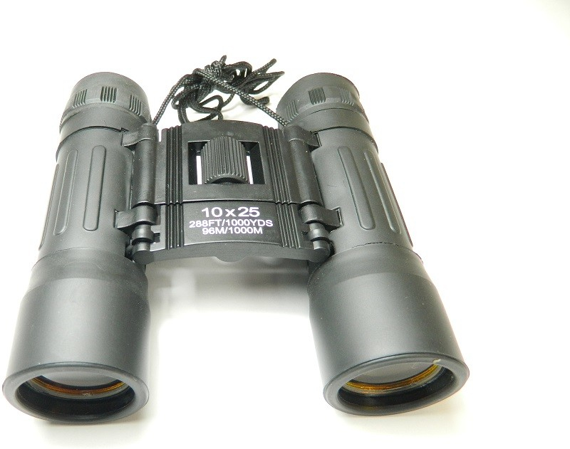 10x25 Binocular černý 34663A