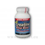 Aminostar Creatine Ethyl Ester 120 tablet