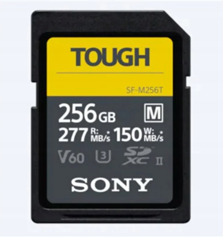 Sony 256 GB SF-M256T