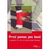 První pomoc pro koně, Ve spolupráci s Dr. med.vet.Karlem Josefem Boeningem