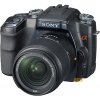 Sony Aplha DSLR-A100