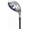 Mizuno hybrid JPX