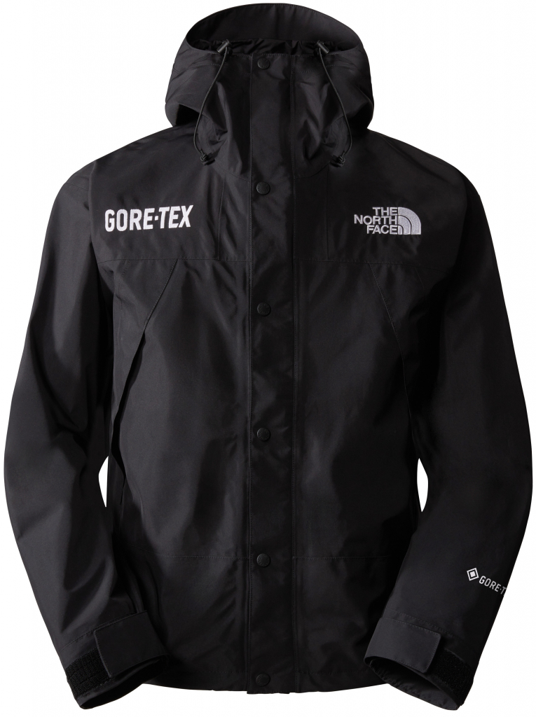 The North Face Goretex Mountain