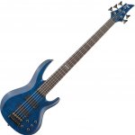 ESP-LTD B-155 DX