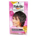 Palette Instant Color 19 - tmavě hnědý 25 ml