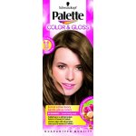 Palette Color & Gloss 6-0 Oslnivý karamel