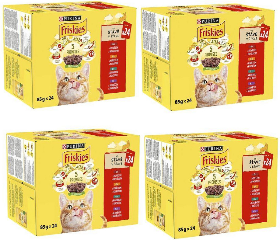 Friskies Maso pro kočky v omáčce MIX příchutí 96 x 85 g