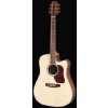 Walden D-710CE Walden D-710CE