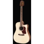 Walden D-710CE