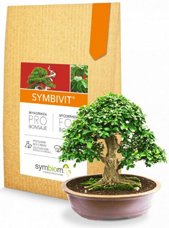 Symbivit Bonsai mykorhiza pro bonsaje 150 g