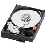 Western Digital CAVIAR AV GREEN 750GB, SATAII, 8MB, WD7500AVVS