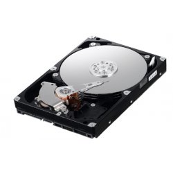 Samsung SpinPoint F1 1TB, 3,5", 7200rpm, SATAII, 32MB, HD102UJ