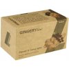 Biogena čaj GINGERYline Zázvor & Rybíz 20x2g