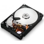 Hitachi Cinemastar 7K2000 2TB, SATAII, 7200rpm, 32MB, HDS722020ALA330
