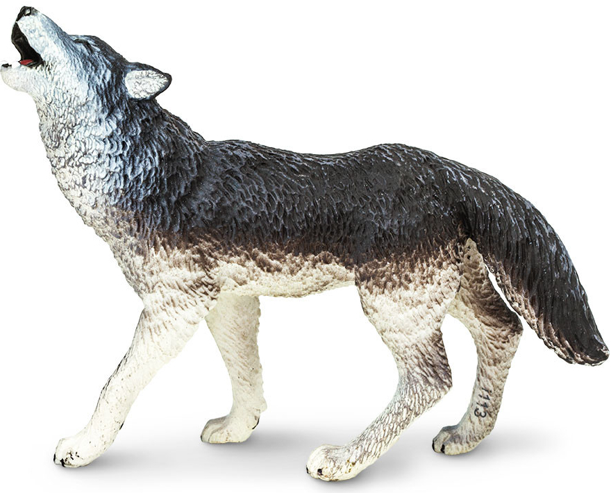 Safari Ltd. Vlk šedý