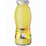 Rauch Bravo Ananas+KOKOS 0,2L