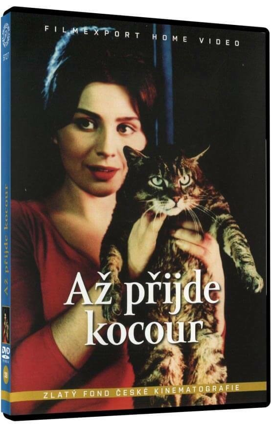 Až přijde kocour DVD