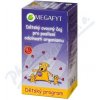 Megafyt Dětský ovocný čaj pro posíl.org.20x2g