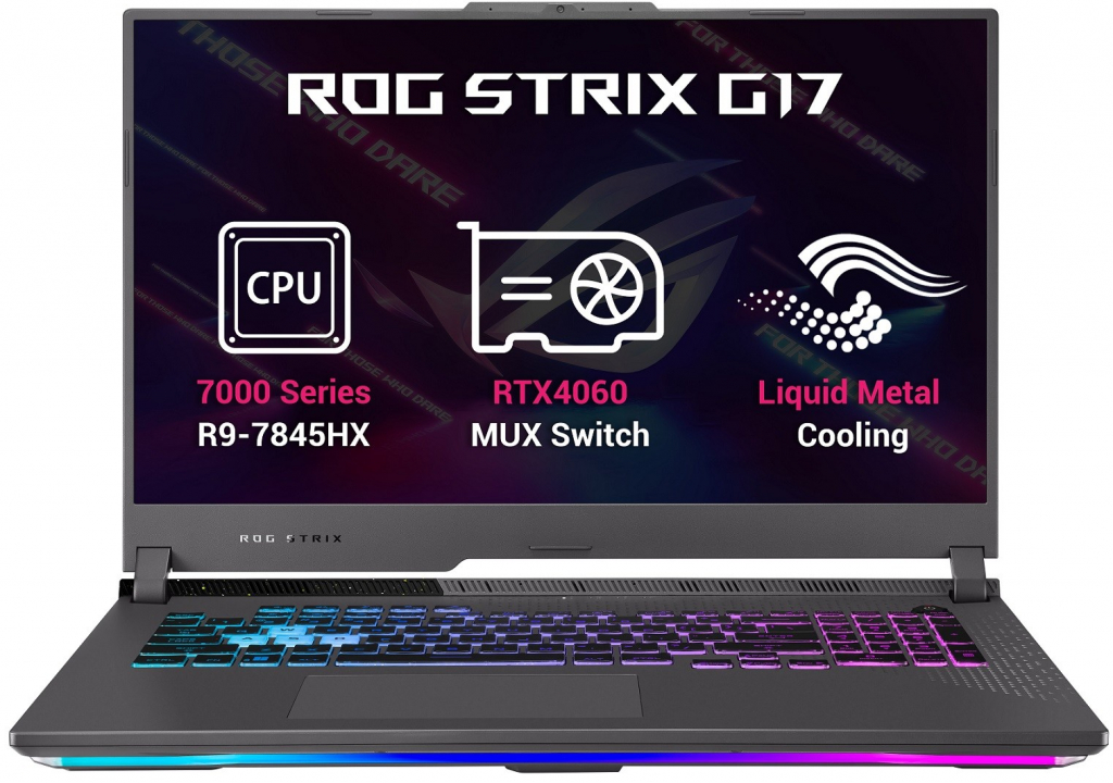 Asus Rog Strix G17 G713PV-HX048