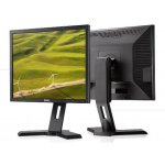 DELL P190S
