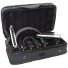 Hohner Blues Harmonicas Starter Set