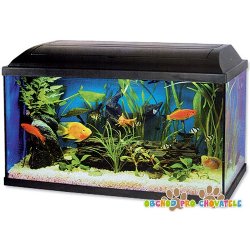 Akvarium set Pacific 54 l, 60 x 30 x 30 cm