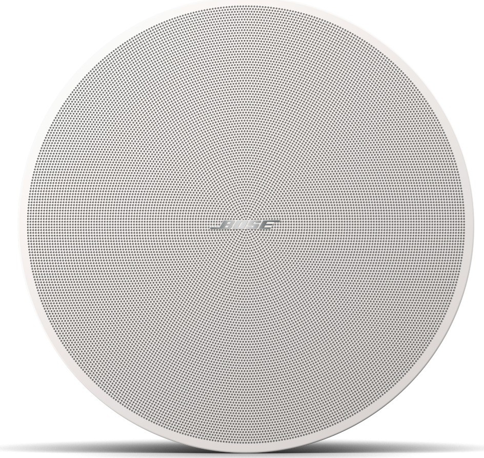 Bose DesignMax DM6C