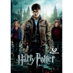 Harry Potter a Relikvie smrti: 2 Část