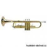 Ashton TR 10