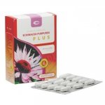 Apotheke Echinacea s ginkgo bilobou 20x1,5g
