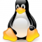 linuxguru