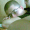 Mike.CZ