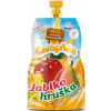 Ovocný mošt Jablko-Hruška Ovocňák 250 ml