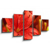 WEBLUX Obraz 5D pětidílný - 125 x 70 cm - red lilly flowers, obraz pětidílný 5D, obraz 5D, pětidílný obraz, 5d obraz - DOPRAVA ZDARMA