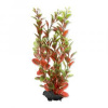Tetra rostlina Red Ludwigia 23 cm