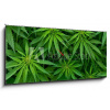 Obraz s hodinami 1D panorama - 120 x 50 cm - Marijuana Marihuana