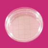 Petriho miska 65 mm, kontaktní, -VENT, STERILE|R