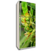 WEBLUX Samolepka na lednici fólie Marijuana - 18646563 Marihuana, 80 x 200 cm