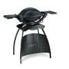 Weber Gril Q 1400 Stand