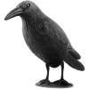 ISO Odpuzovač holubů a ptáků havran