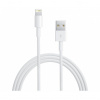 Originální USB kabel Lightning pro Apple iPhone / iPod / iPad / AirPods bílý 1m MXLY2ZM/A