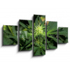 WEBLUX Obraz 5D pětidílný - 125 x 70 cm - Cannabis Hintergrund background, obraz pětidílný 5D, obraz 5D, pětidílný obraz, 5d obraz - DOPRAVA ZDARMA
