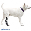 Walkinpets - Ortopedická dlaha na zadní nohy pro psa XS