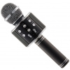 Dětský mikrofon Karaoke mikrofon Eljet Globe Black (8594176635354)