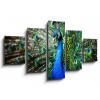 WEBLUX Obraz 5D pětidílný - 125 x 70 cm - Beautiful peacock, obraz pětidílný 5D, obraz 5D, pětidílný obraz, 5d obraz - DOPRAVA ZDARMA