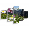 WEBLUX Obraz 5D pětidílný - 125 x 70 cm - Blumenwiese mit Gebirge im Hintergrund, obraz pětidílný 5D, obraz 5D, pětidílný obraz, 5d obraz - DOPRAVA ZDARMA