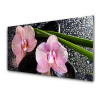Skleněné obklady do kuchyně Květiny Orchidej Kameny Zen 100x50 cm